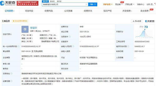 阿里加碼布局海南 新設(shè)公司聚焦網(wǎng)絡(luò)安全與數(shù)據(jù)開(kāi)發(fā)